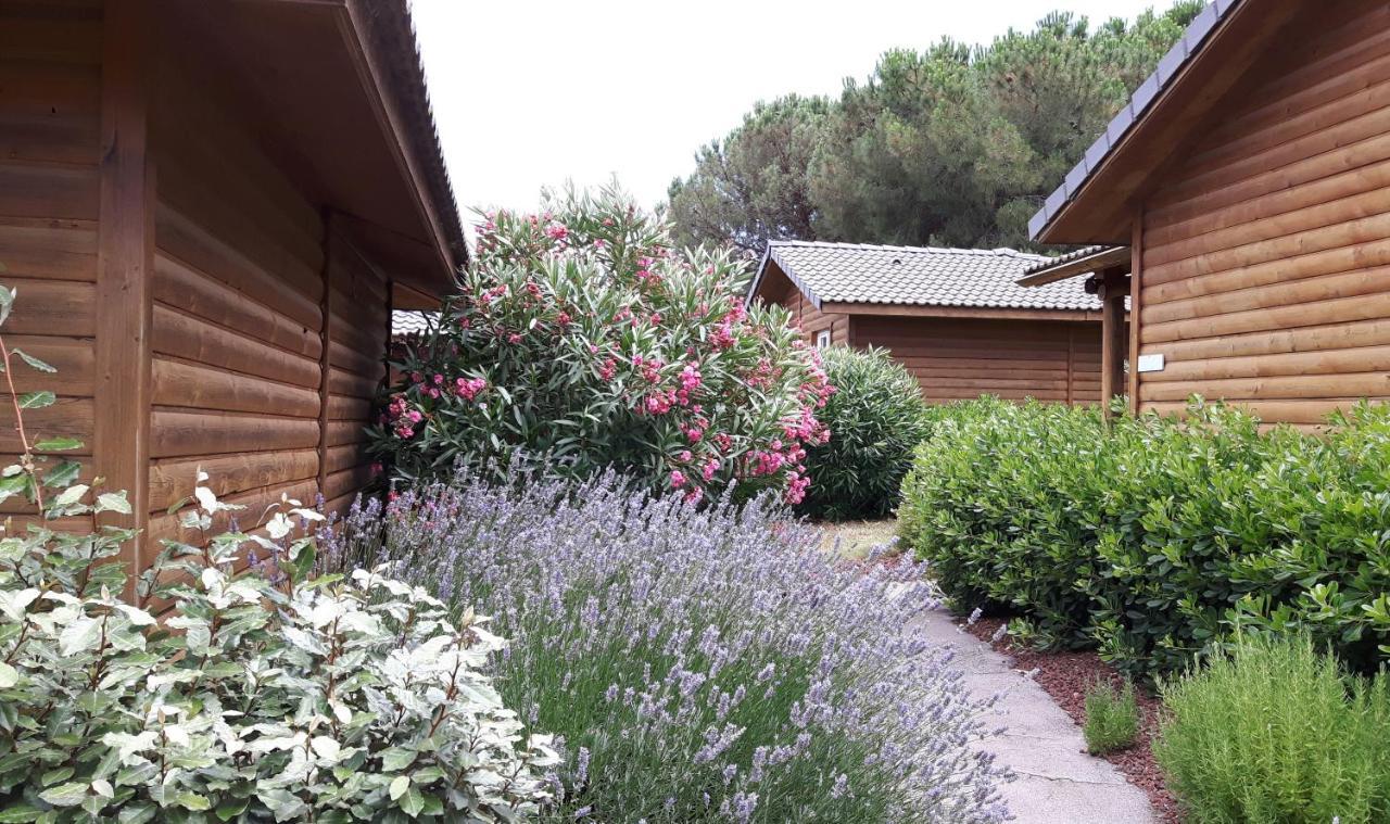 אגדה Parc Residentiel Les Hauts De Baldy מראה חיצוני תמונה
